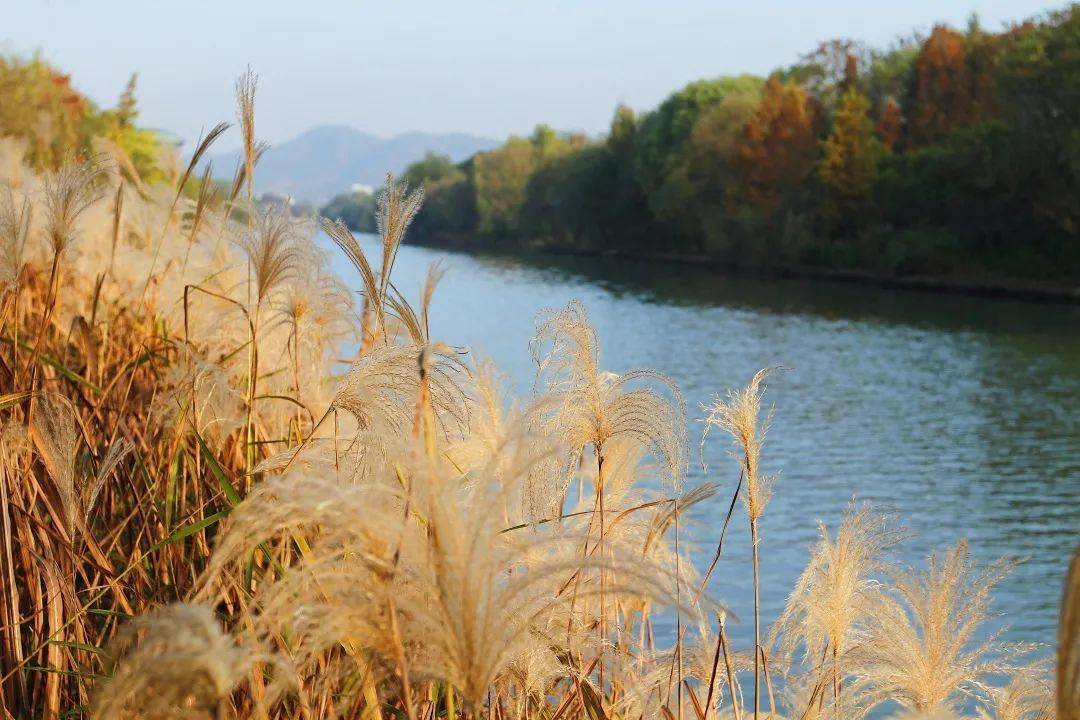 Xixi-National-Wetland-Park